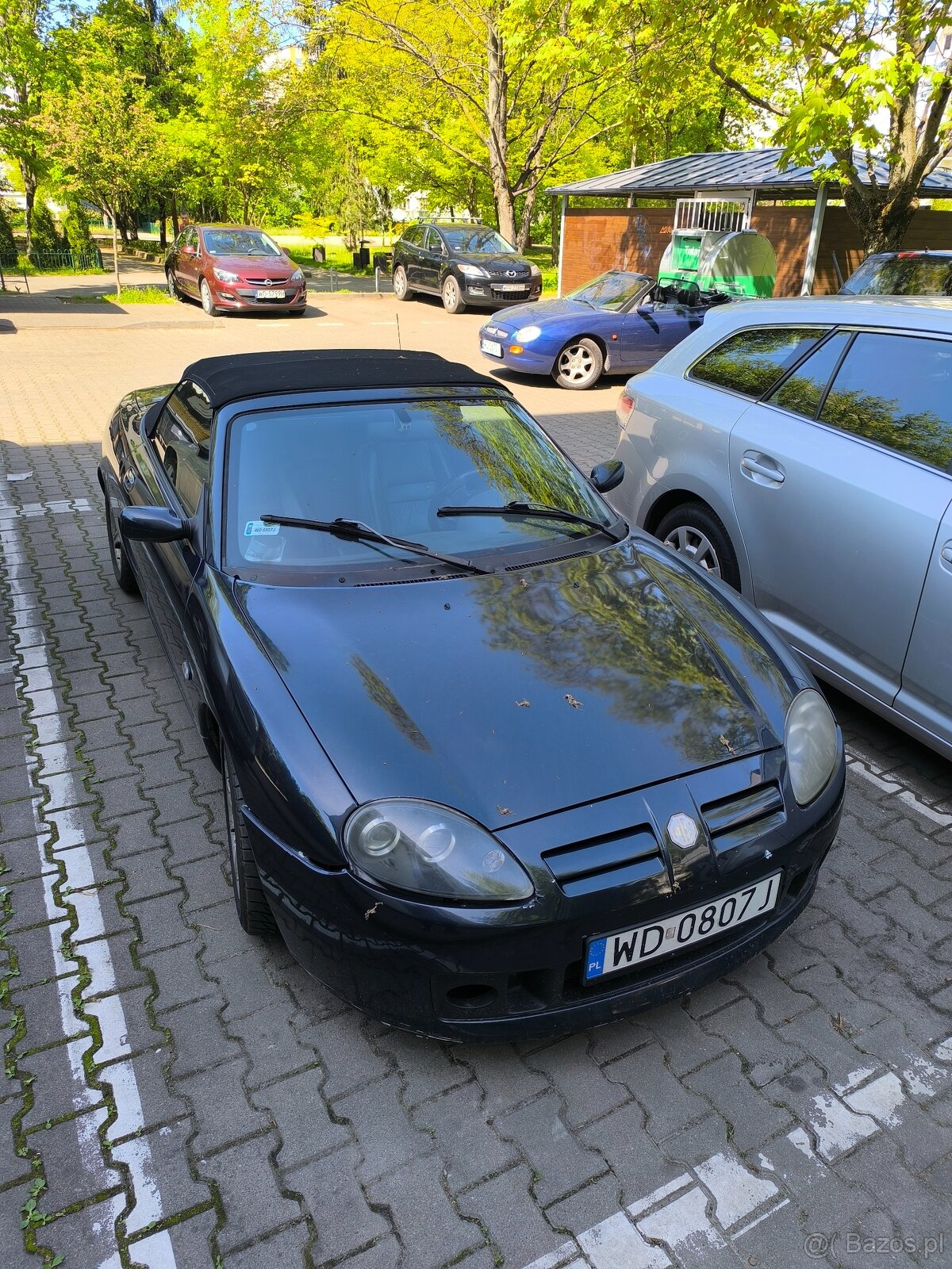 MG F