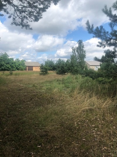 Działka rolna o powierzchni 5013 m2, Młynisko
