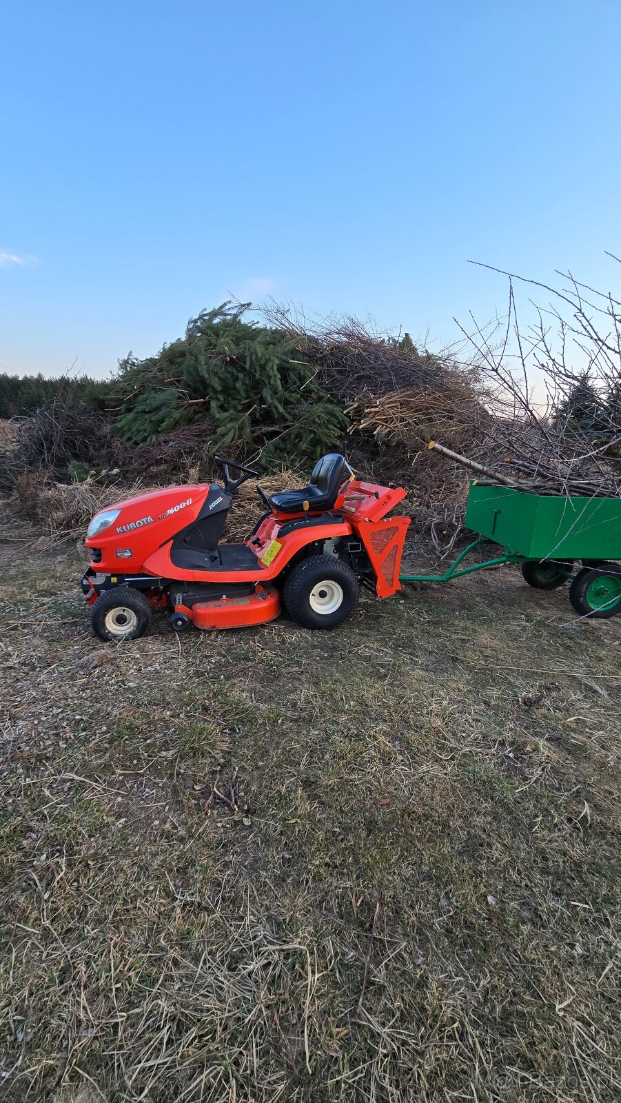 biomasa za darmo gałęzie żywopłot trzcina