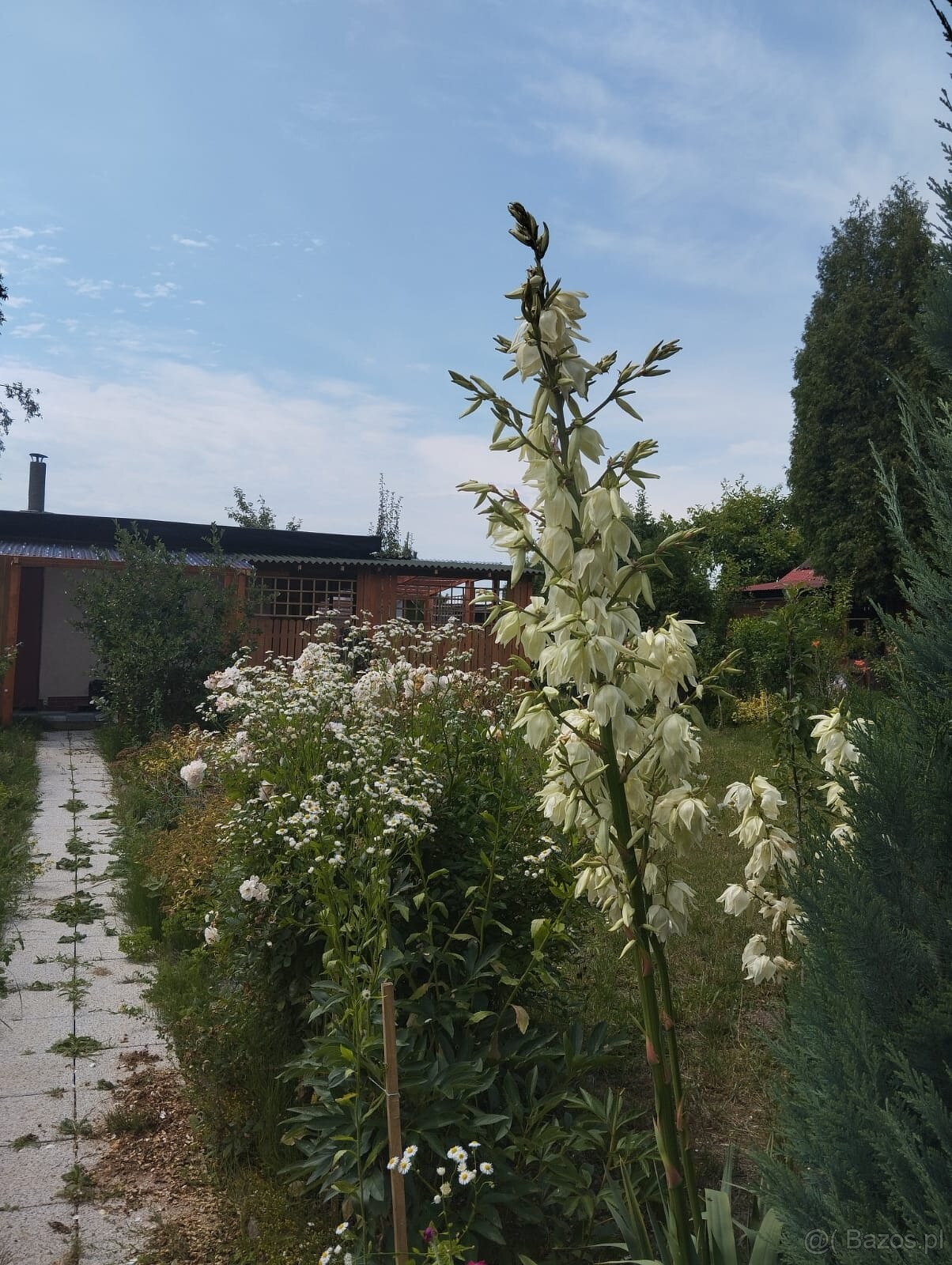 Sprzedam ładną działkę ROD - możliwość używania cały rok