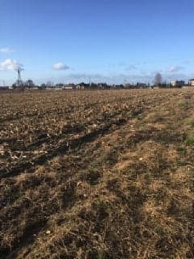Działka budowlana 1500 m2, Wojciechówka