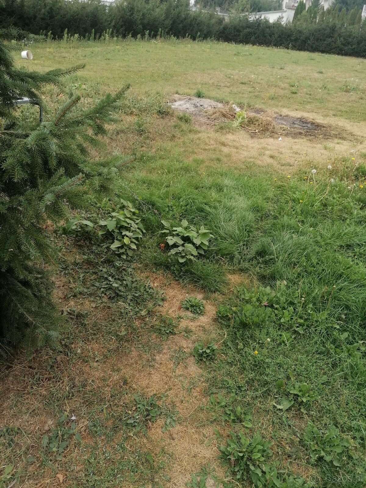 Sprzedam działkę budowlaną w Bełżycach