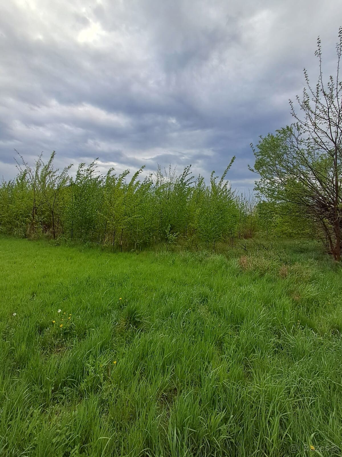 Działka rolna o pow. 1769 m2, Chełmce- gm. Opatówek