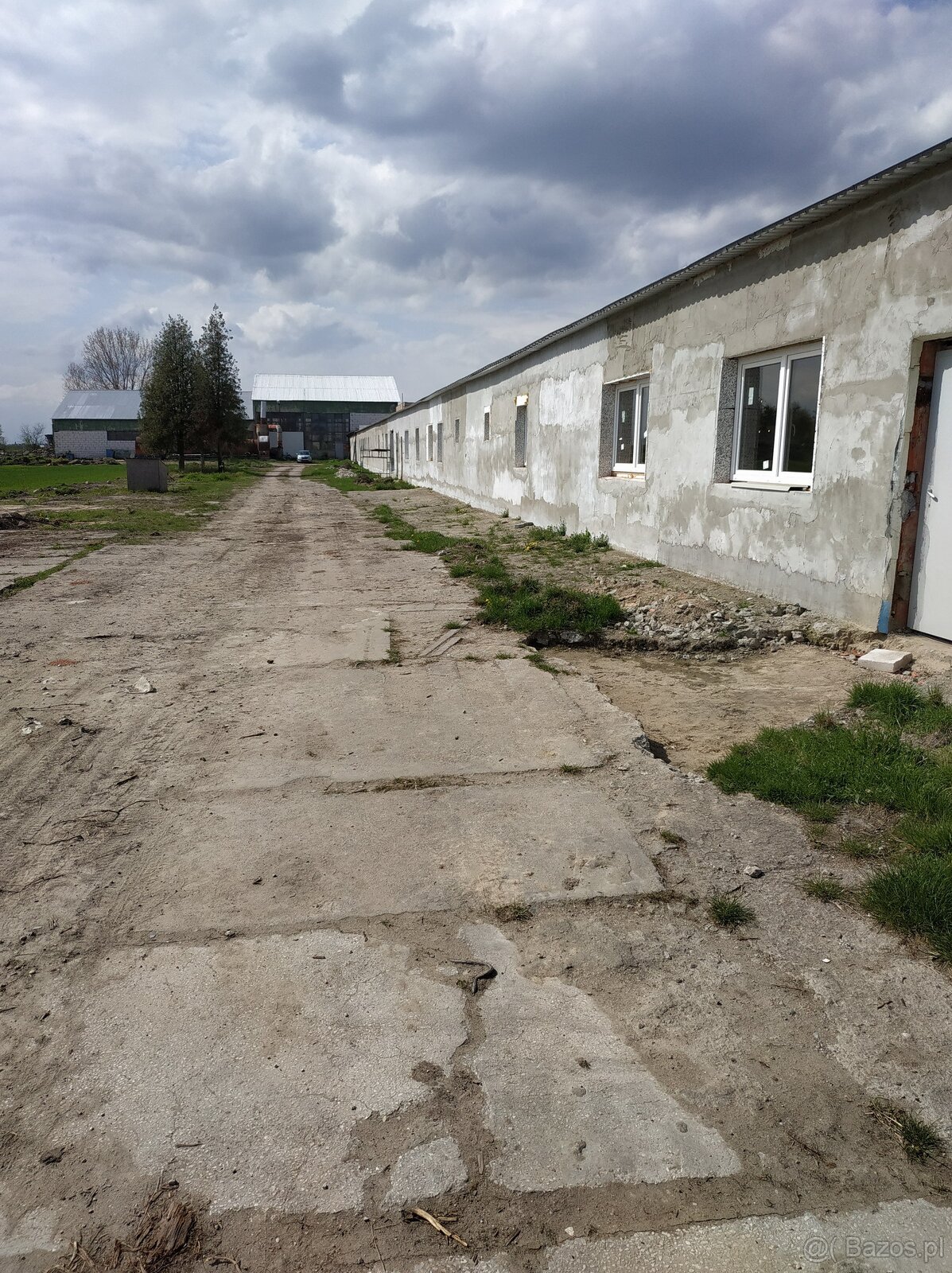 Syndyk sprzeda zorganizowaną część przedsiębiorstwa
