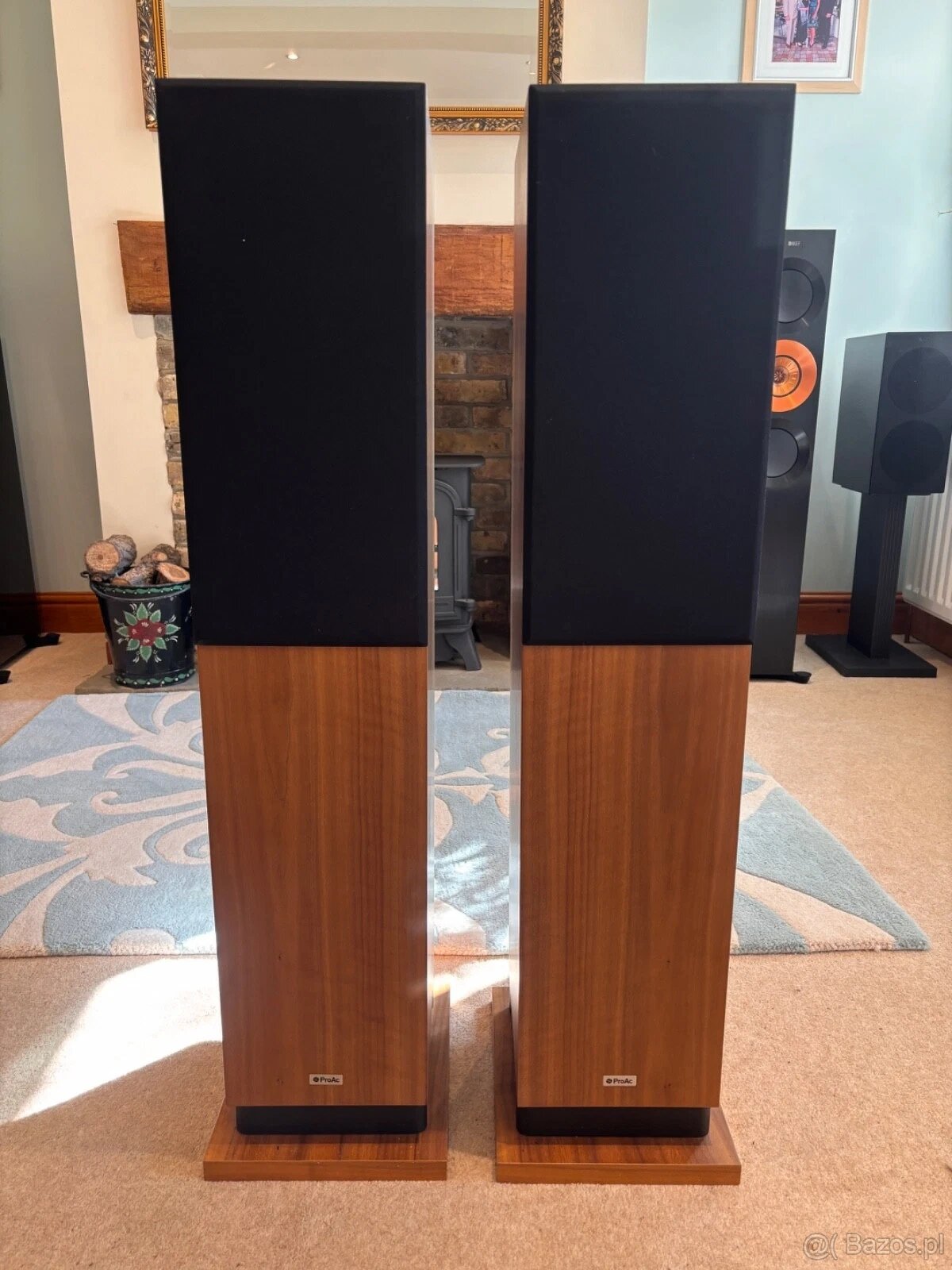 ProAc D30RS Głośniki