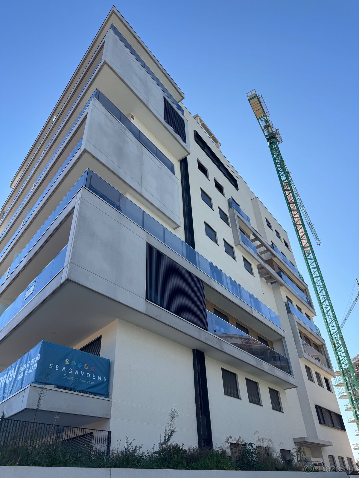 Dehesa de Campoamor – Alicante, Hiszpania