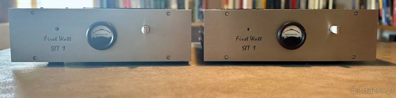 FirstWatt SIT-1 Monoblock - 2500 EURO