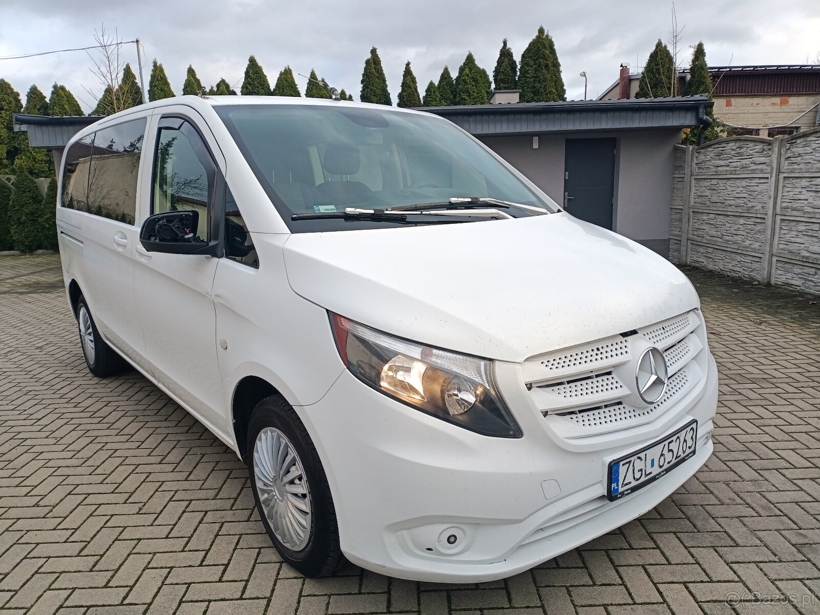 VITO LONG OSOBOWY HAK OSZKLONY