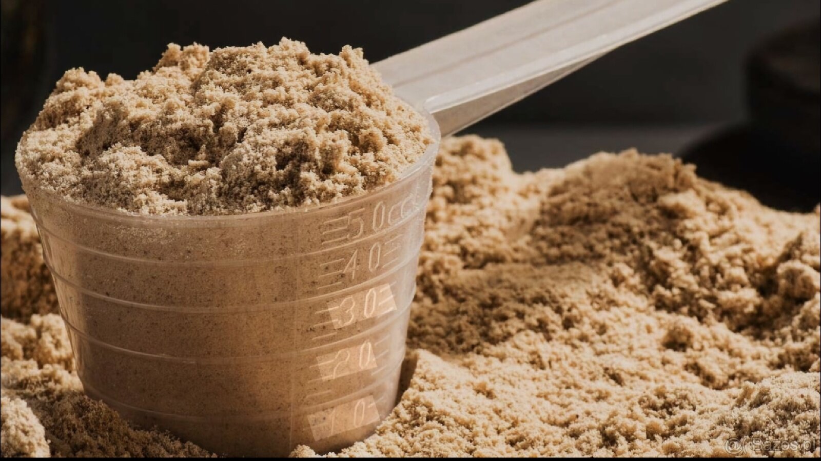 Białko sojowe – czekolada i wanilia (nowe)