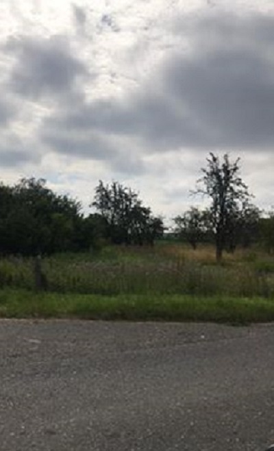 Działka budowlana pow. 5630m2, N. Skalmierzyce