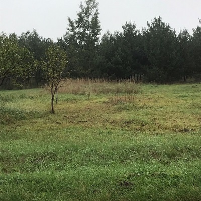 Działka rolna z war. zabudowy o pow. 5200 m2, Rożdżały