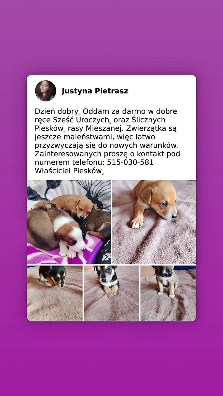 margo571@wp.pl