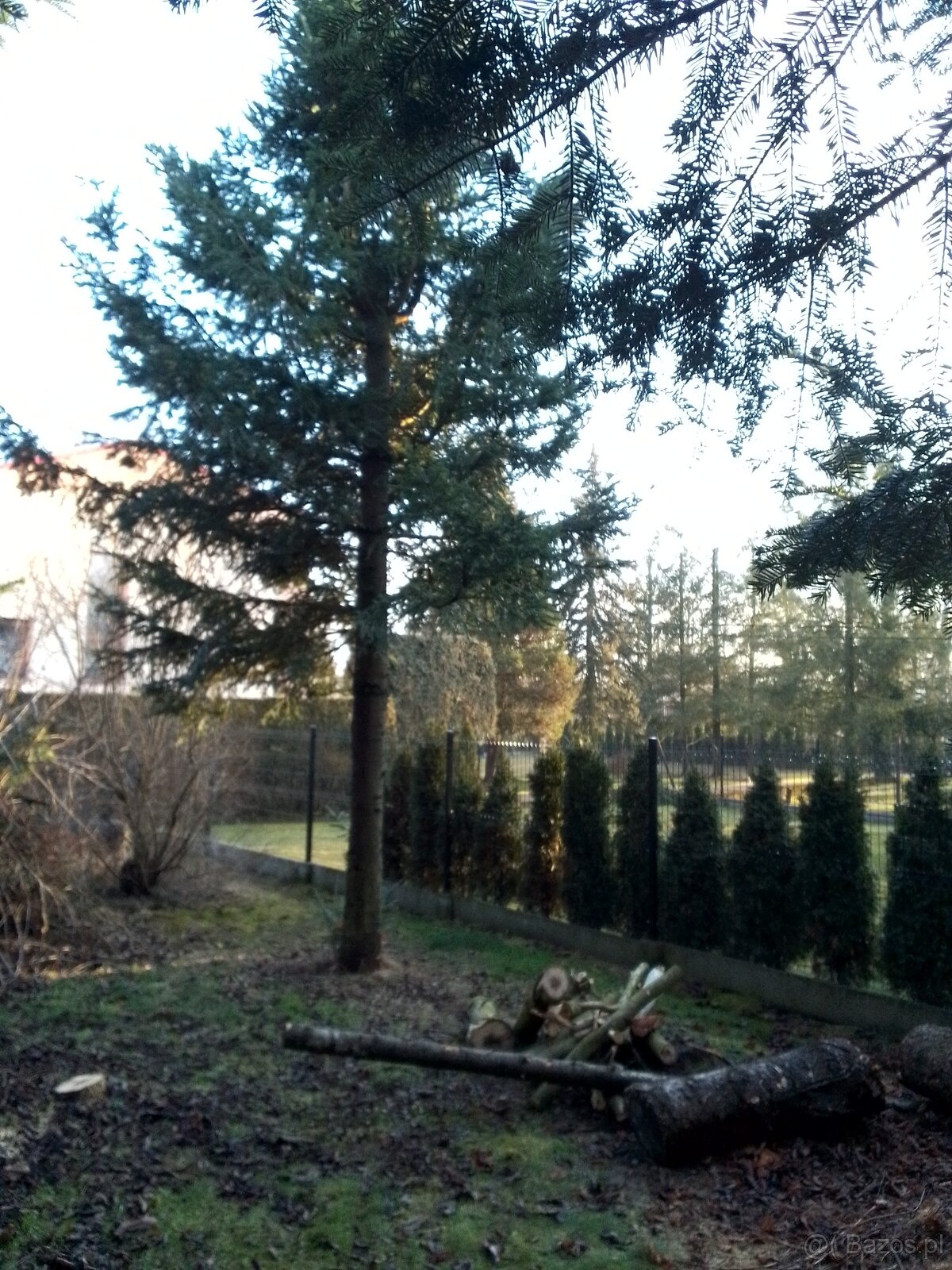 Dom w Żywcu duży 3x 80 m z przyziemiem