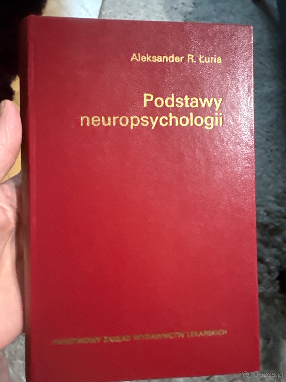 Podstawy neuropsychologii