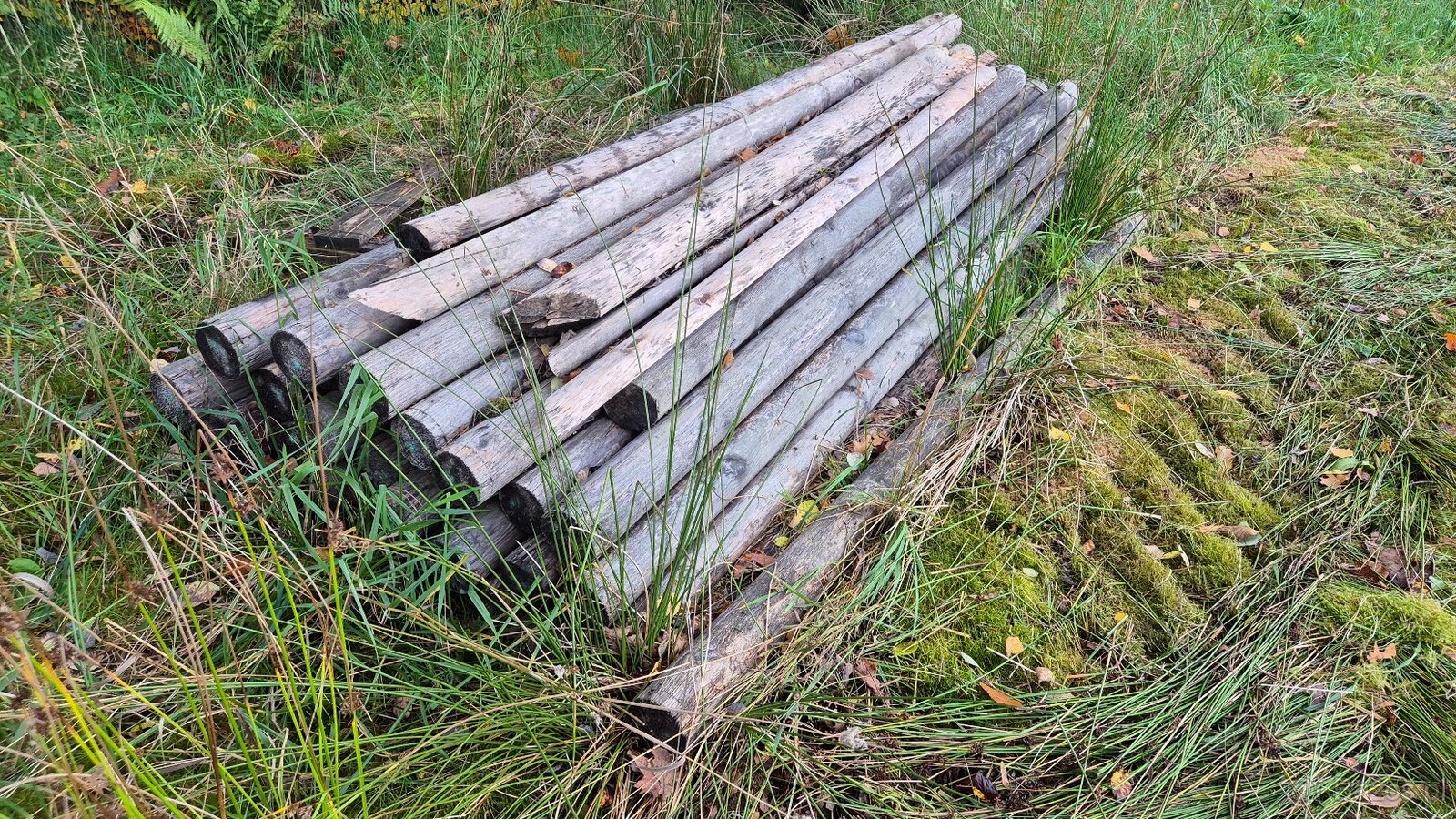 Płot leśny z bramą i furką