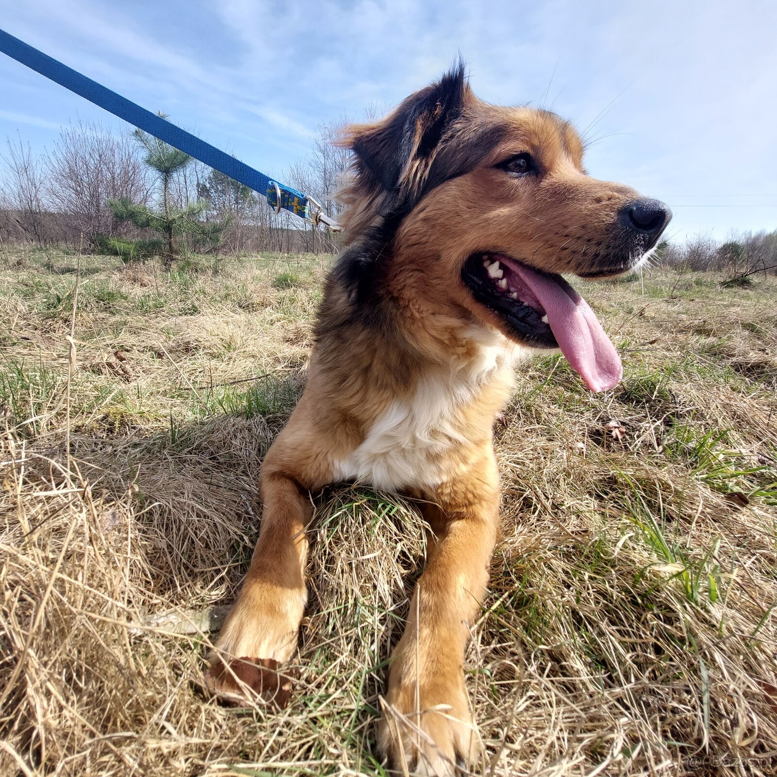 Piękna Danusia marzy o swoim człowieku