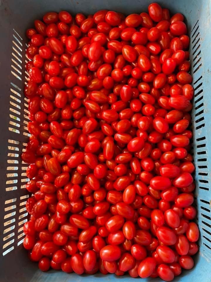 Import owoców i warzyw - 10