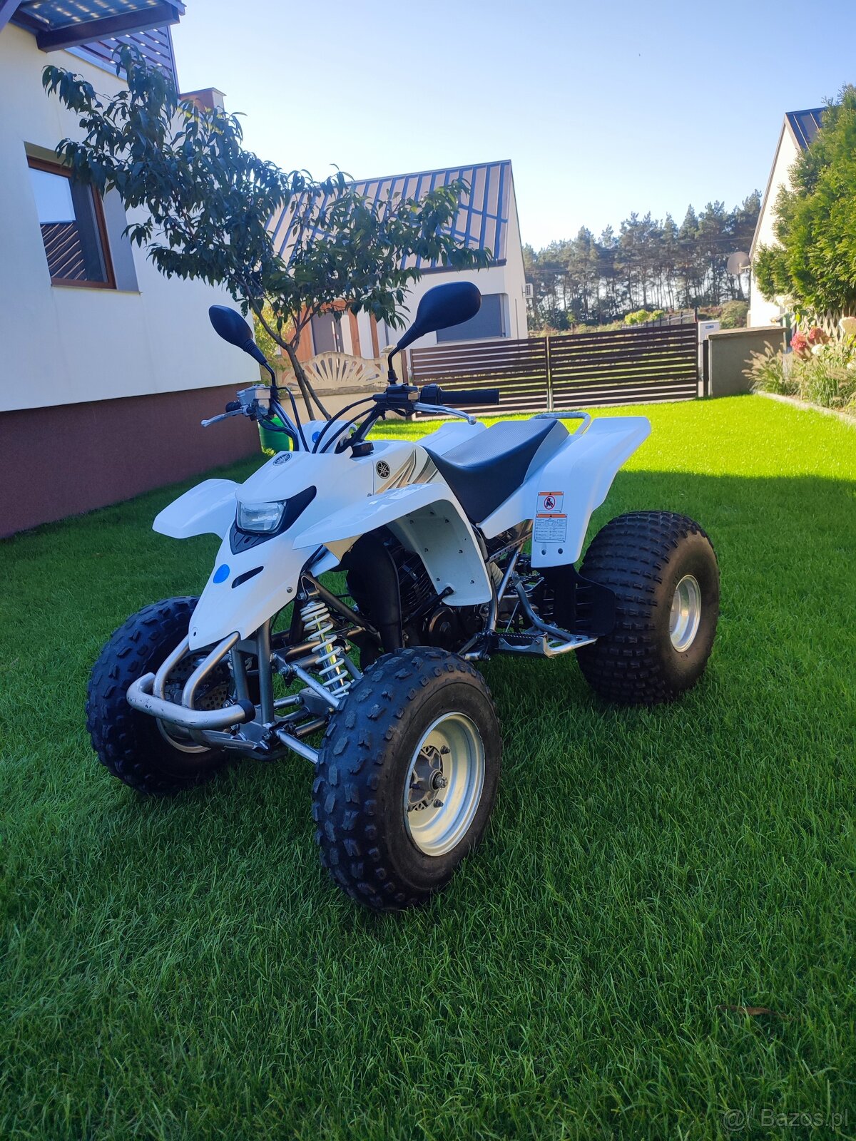 Yamaha Blaster 200 2T - 10