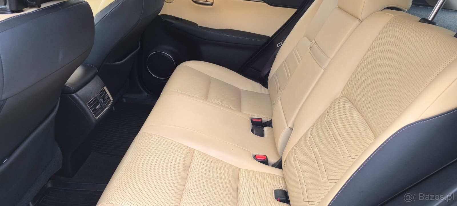 Lexus NX300H - 10