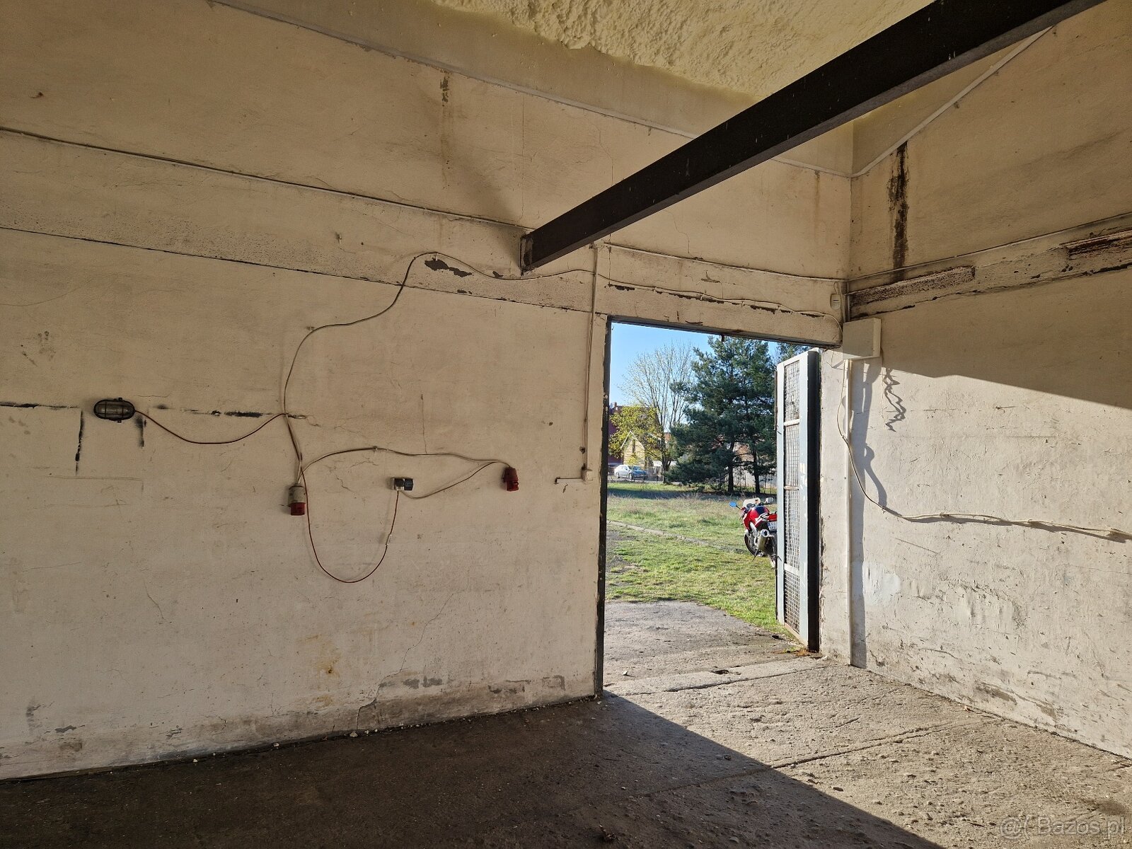 Hala 100m do wynajęcia Złotoria koło Torunia - 10