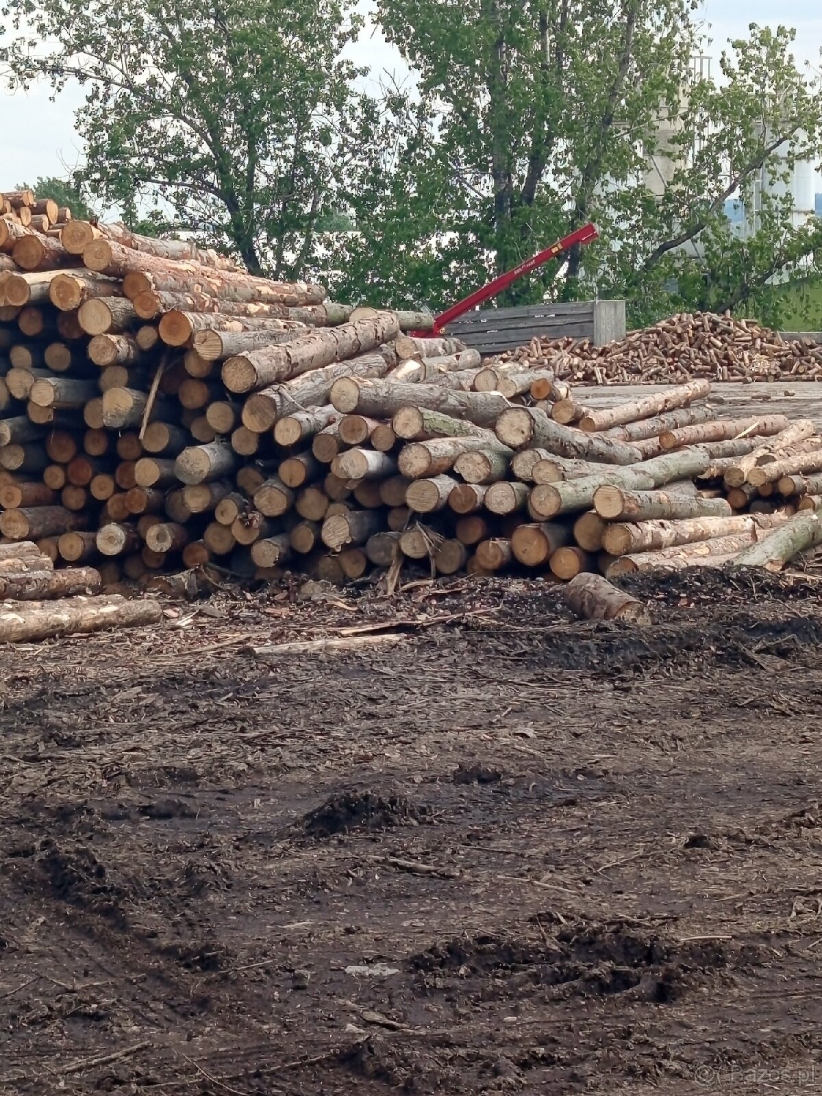 🌲 Drewno opałowe - miękkie ✅ - 10