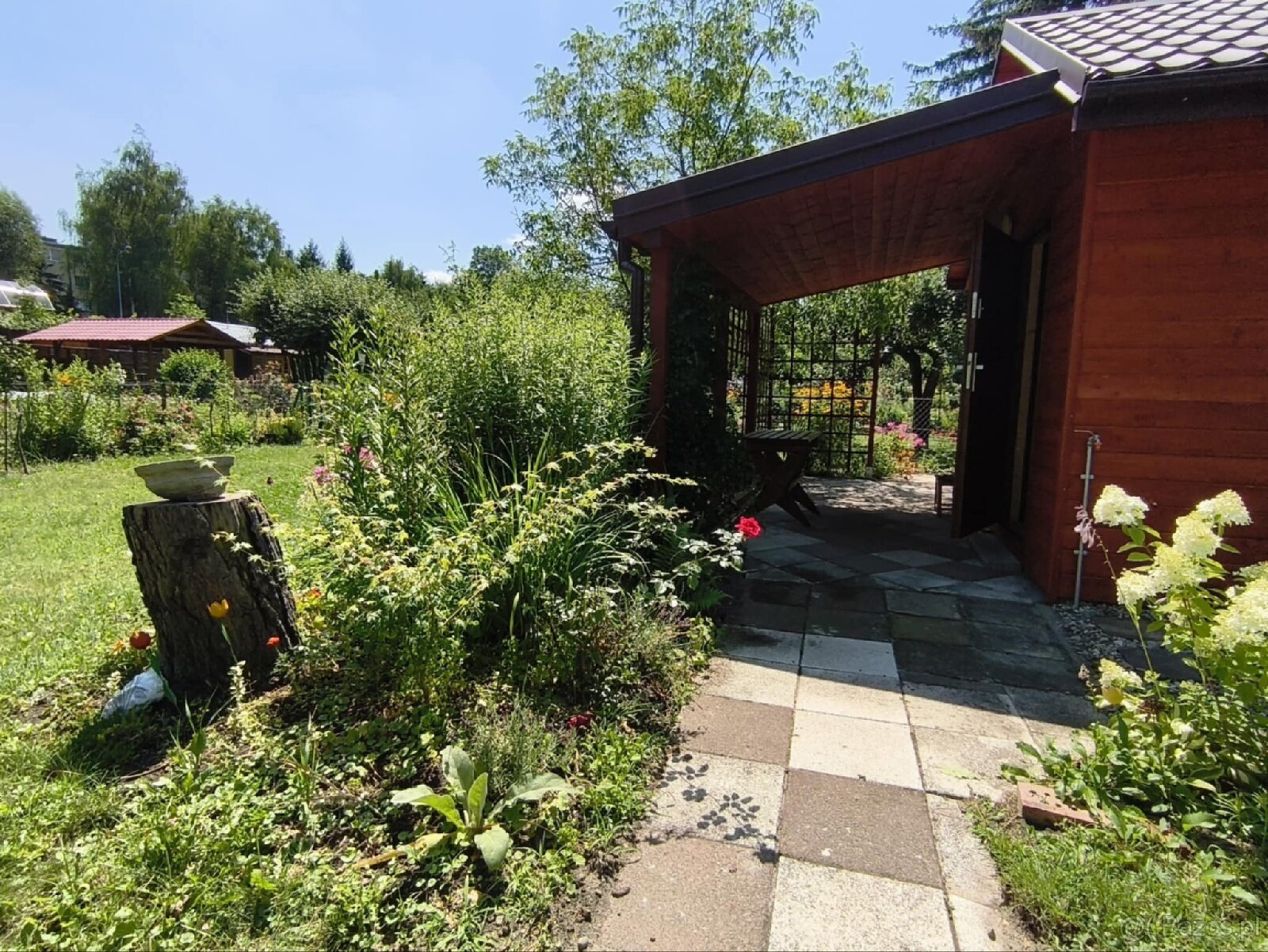 Urokliwa działka ROD "Kopernik" - 10