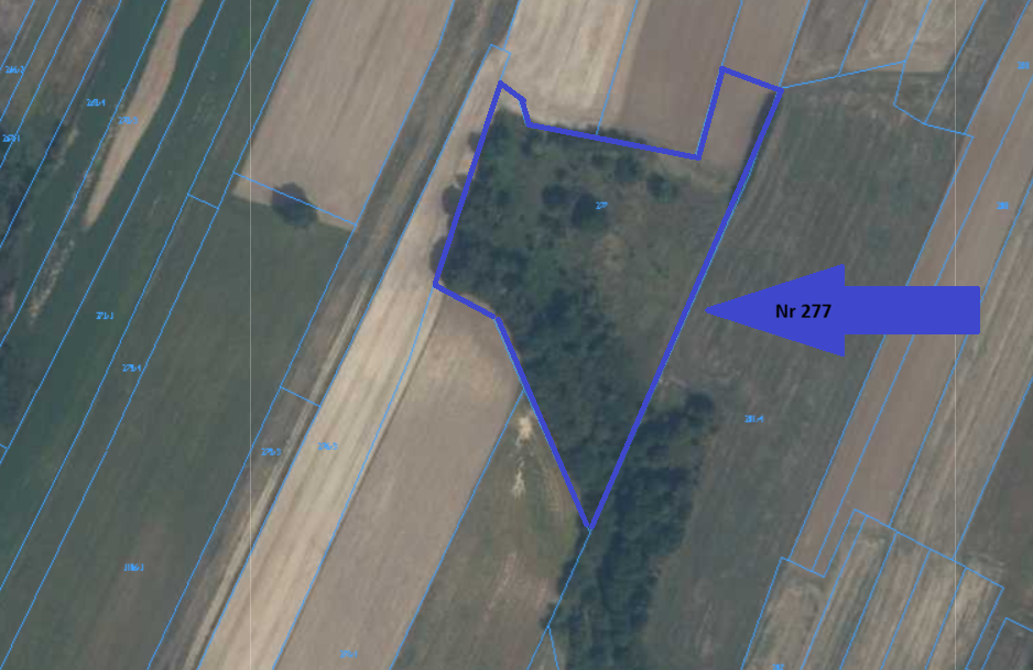 Sprzedam DZIAŁKI ROLNE, gm. Skierbieszów, pow. zamojski - 10