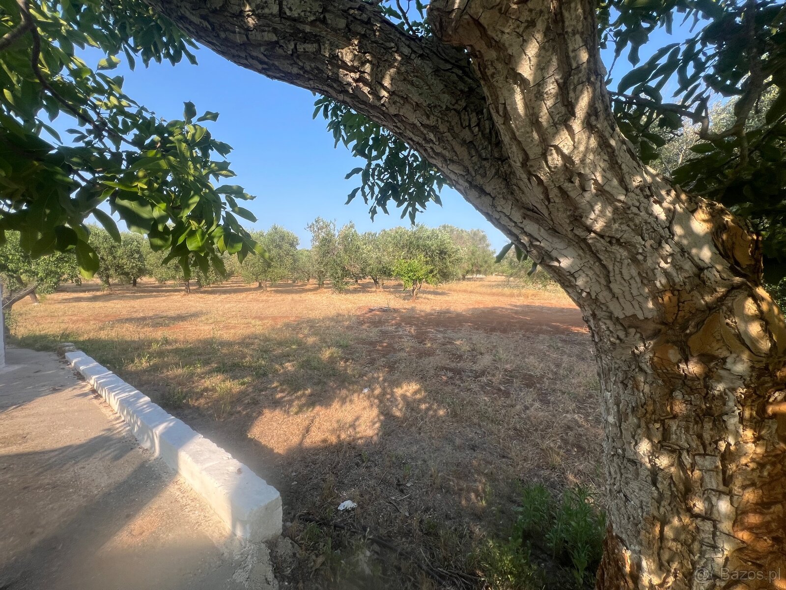 Willa 8 km od morza, południowe Włochy🇮🇹 - 10