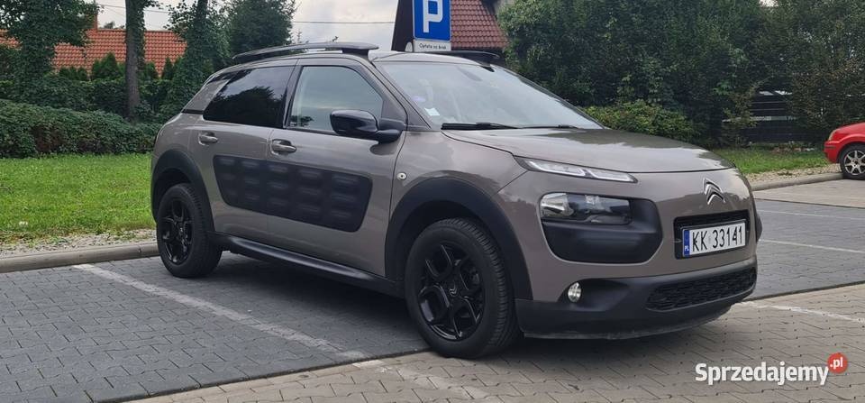 Cactus Sprawdz go w warsztacie na godziny tel. 519 853 348 - 10