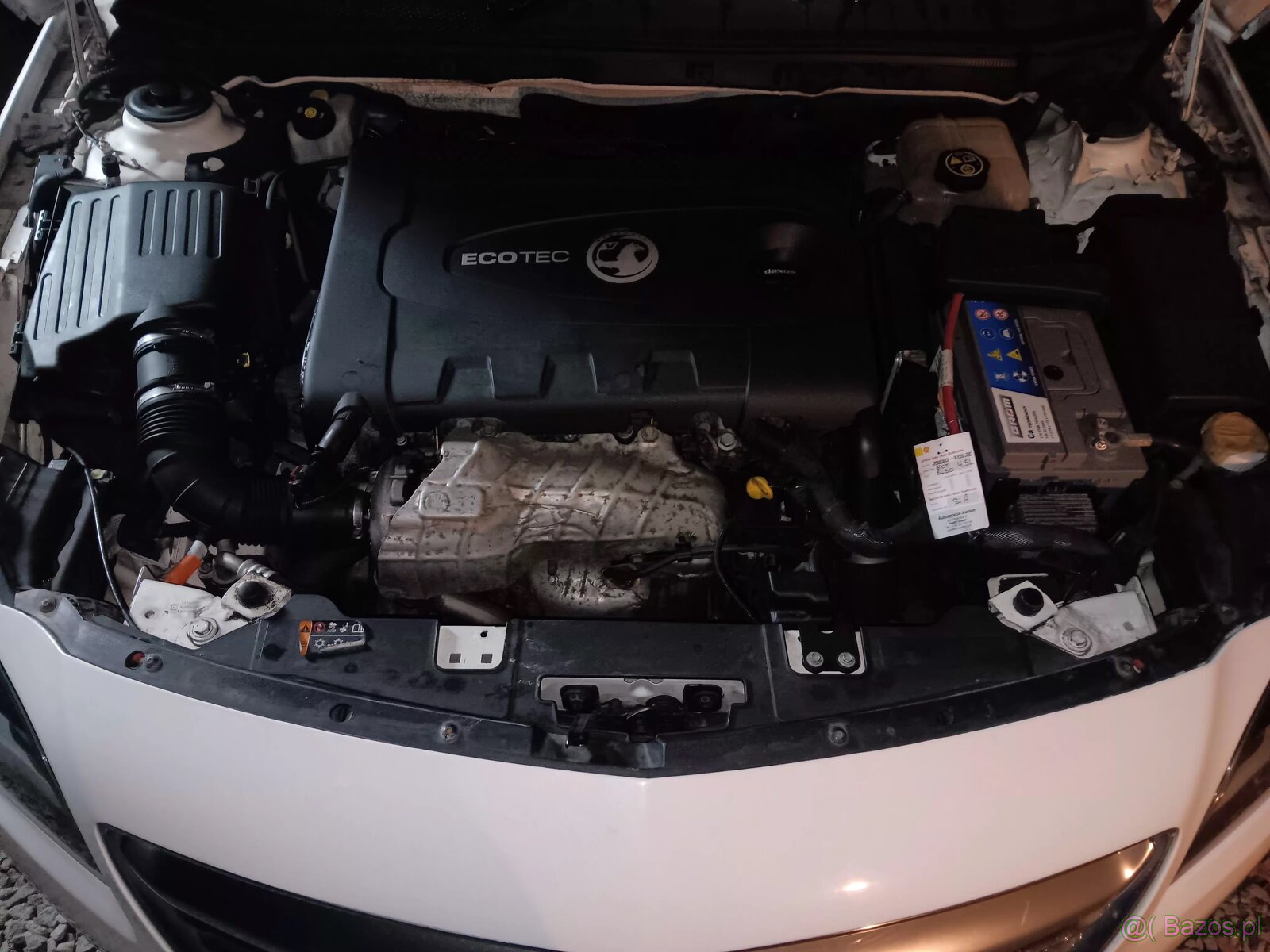 Opel insignia anglik na polskich tablicach - 10