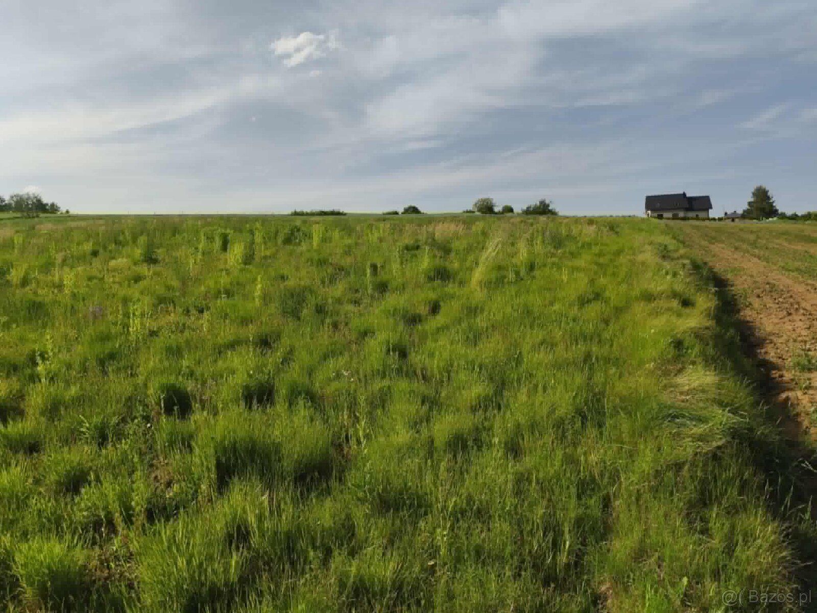 Lipnica Dolna-malownicze miejsce z potencjałem inwestycyjnym - 10