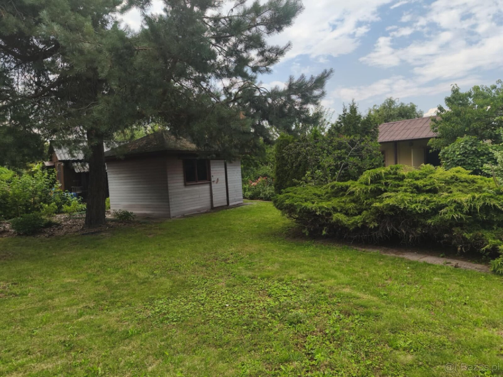 ROD "Słonecznik" Tarnów ul. Ostrogskich - 10