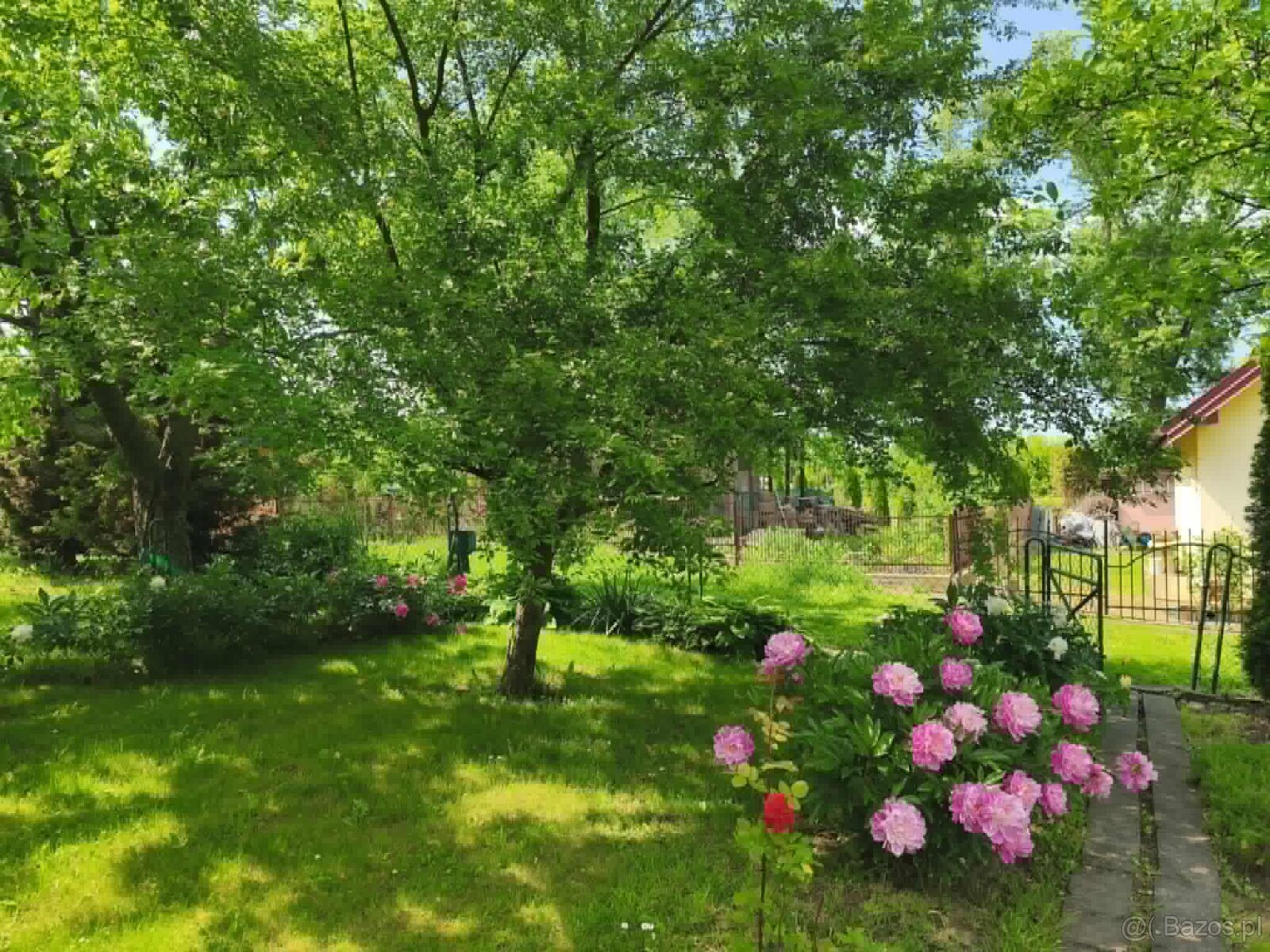 ROD "Strumyk" Tarnów - 10