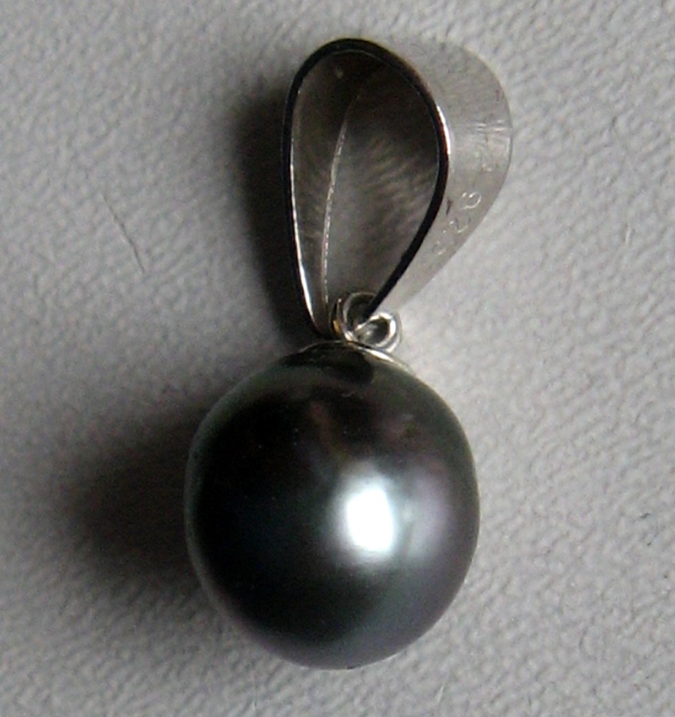 Muszle dla kolekcjonerów i czarne perły z Tahiti - 10