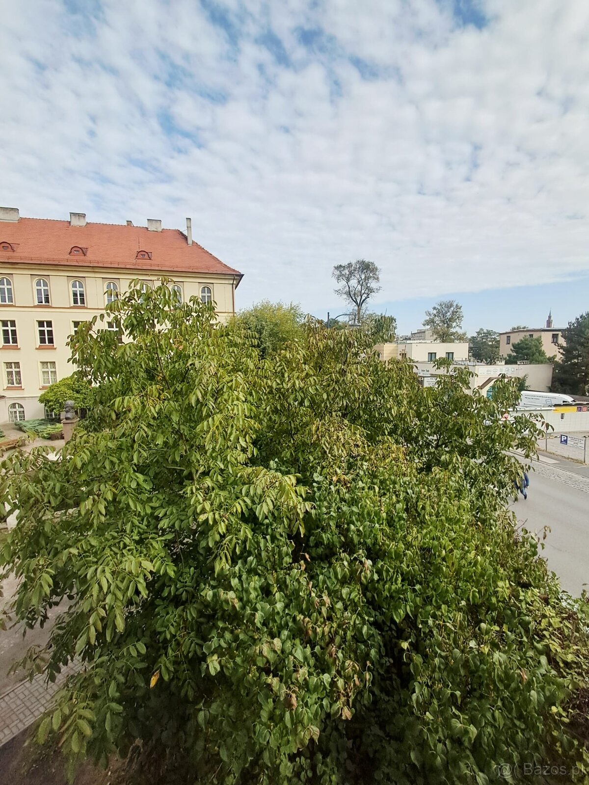Kawalerka w centrum Kalisza | 23,68 m² | Piwnica,parking - 10