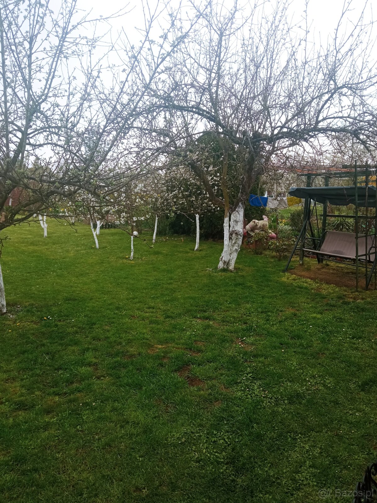 Sprzedam prawo do użytkowania działki ROD - 10