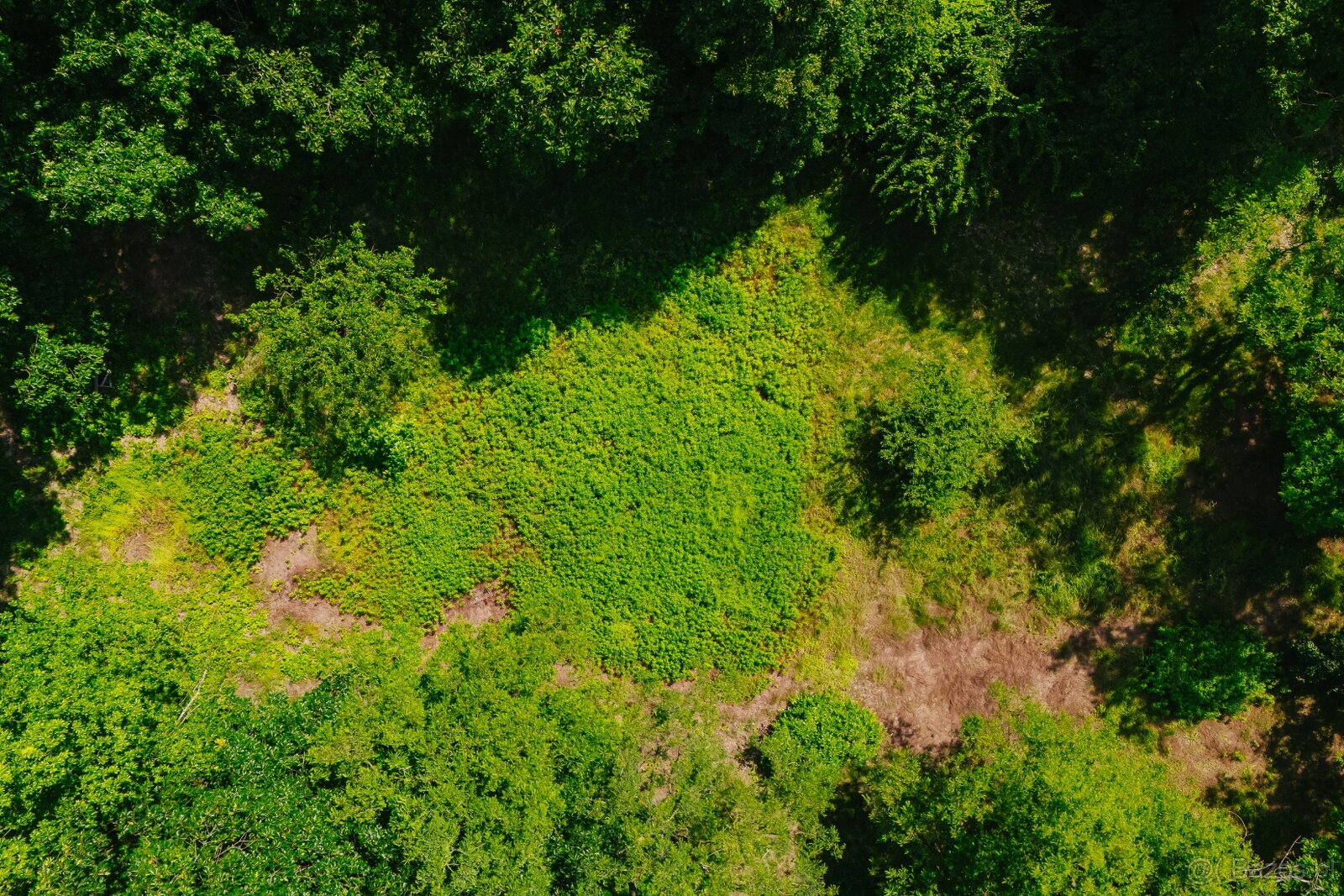 Działka pod inwestycję mieszkaniową, Zajączków - 10