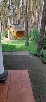 Unikalny dom w Lesie - 10