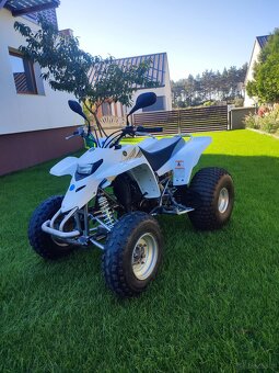 Yamaha Blaster 200 2T - 10