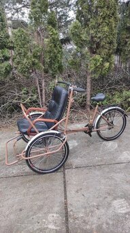 riksza rowerowa - 10