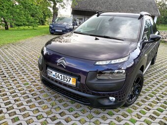 C 4 cactus - 10