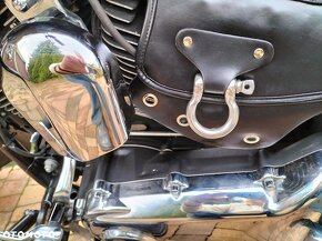 Harley Davidson Heritage - 10