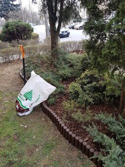 Kompleksowe ogrodnictwo, pielęgnacja i wycinka drzew - 10