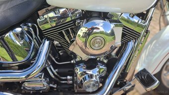 Harley Davidson FatBoy - 10