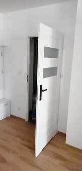 Mieszkanie do wynajęcia - 10