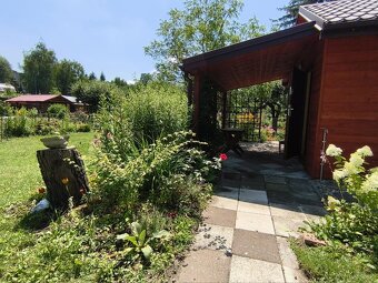 Urokliwa działka ROD "Kopernik" - 10