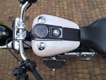 FAT Bob - 10