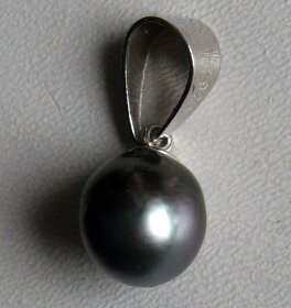 Muszle dla kolekcjonerów i czarne perły z Tahiti - 10