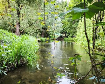 Pole namiotowe nad rzeką Wel - Pole namiotowe - Mazury - Agr - 10