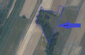 Sprzedam DZIAŁKI ROLNE, gm. Skierbieszów, pow. zamojski - 10